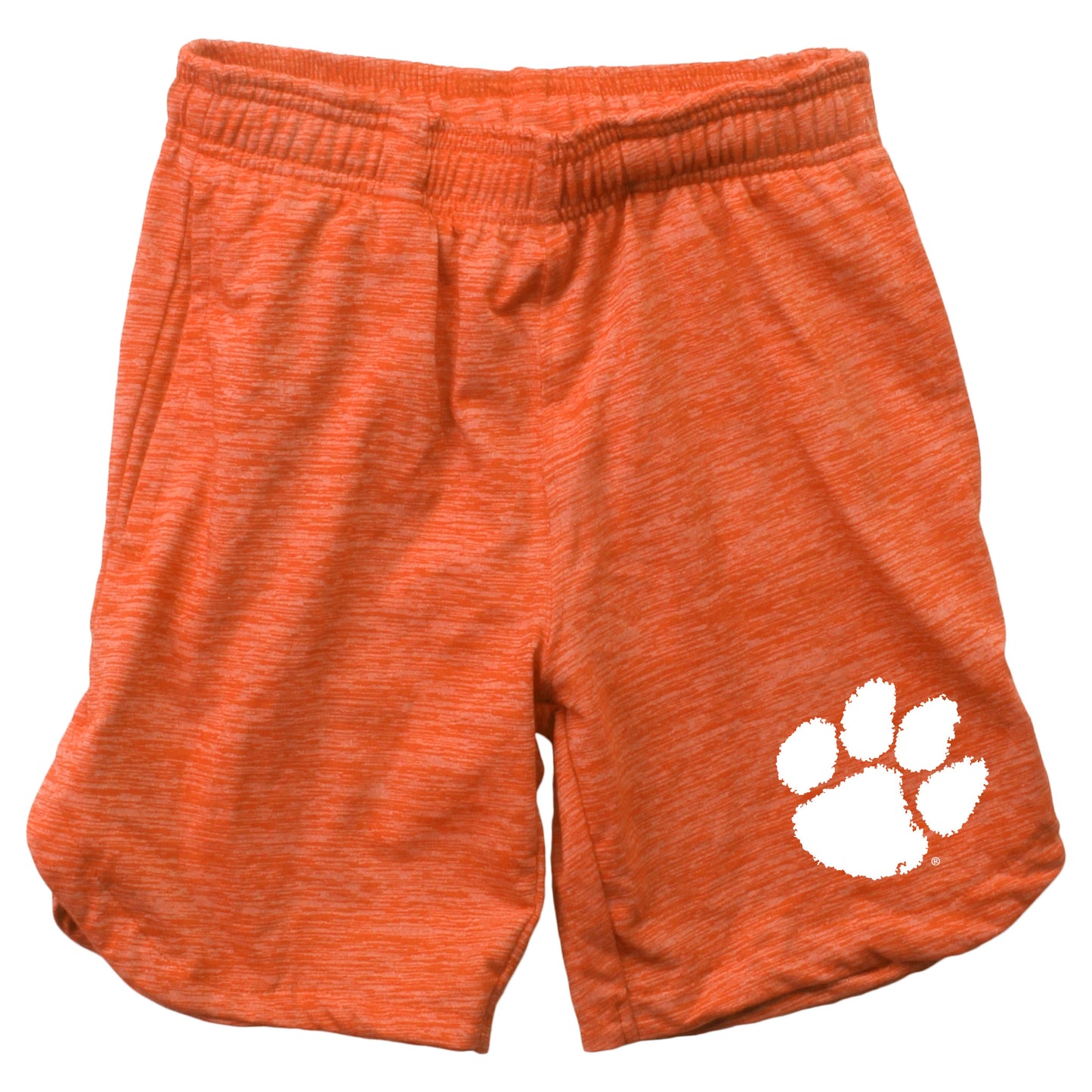 Clemson Tigers Youth Boys Cloudy Short