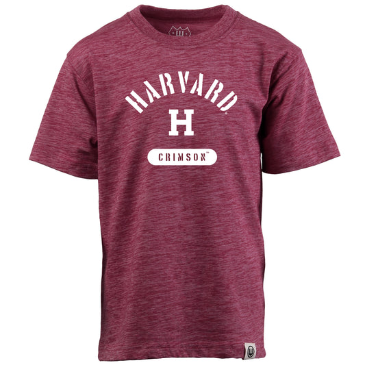Harvard Crimson NCAA Kids S/S Cloudy Yarn Tee