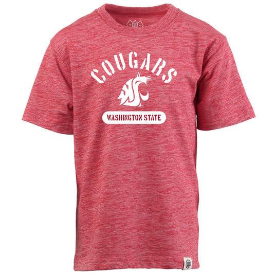 Washington State Cougars NCAA Kids S/S Cloudy Yarn Tee