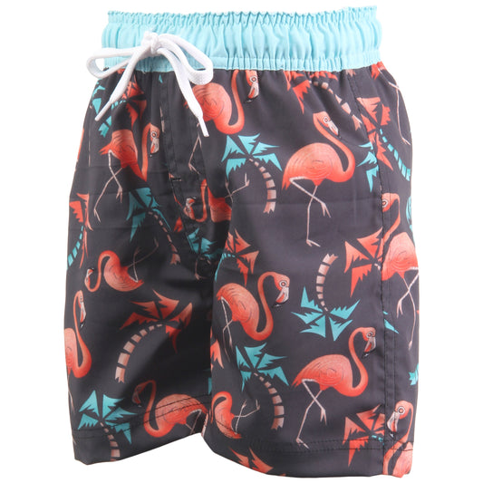 Youth Boys Flamingo Trunks