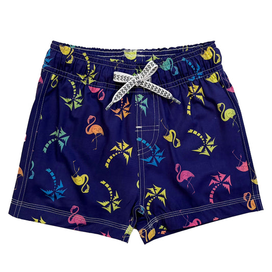 Youth Boys Ombre Flamingo Swim Trunk