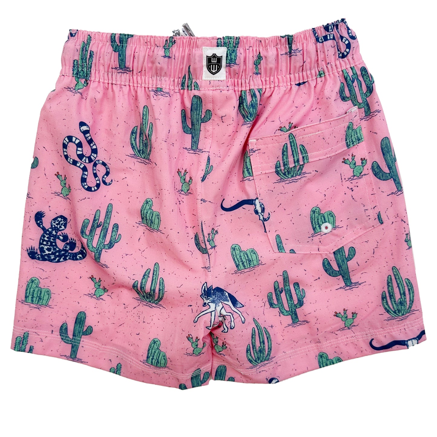 Youth Boys Desert Swim Trunk